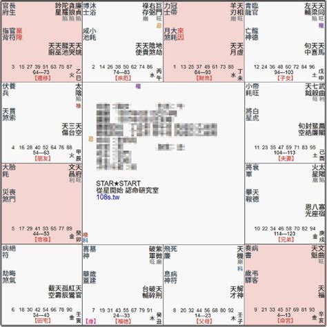 貪狼化忌2023|2023流年「命宮紫微貪狼．遷移空宮」